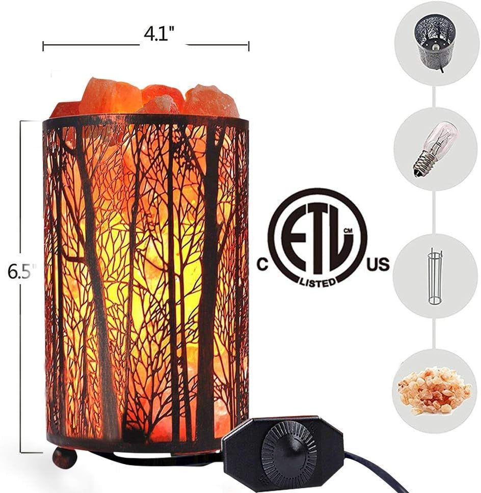 Shineled Salt Lamps, Natural Himalayan Salt Lamp, Forest Salt Lamp with Dimmer Switch, Salt Crystal Night Lights, Retro Metal Basket Decor Desk Lamp with Extra 25W Lamp Bulbs (Retro Red)