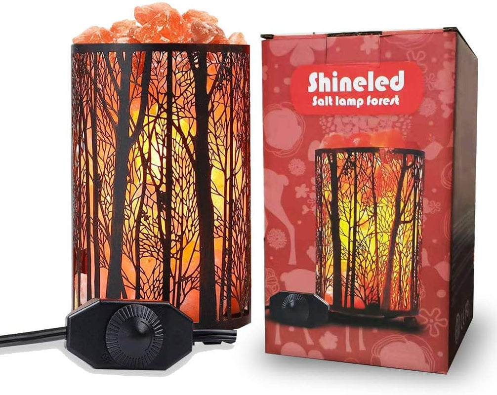 Shineled Salt Lamps, Natural Himalayan Salt Lamp, Forest Salt Lamp with Dimmer Switch, Salt Crystal Night Lights, Retro Metal Basket Decor Desk Lamp with Extra 25W Lamp Bulbs (Retro Red)
