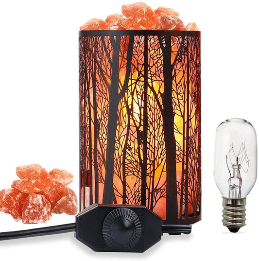 Shineled Salt Lamps, Natural Himalayan Salt Lamp, Forest Salt Lamp with Dimmer Switch, Salt Crystal Night Lights, Retro Metal Basket Decor Desk Lamp with Extra 25W Lamp Bulbs (Retro Red)